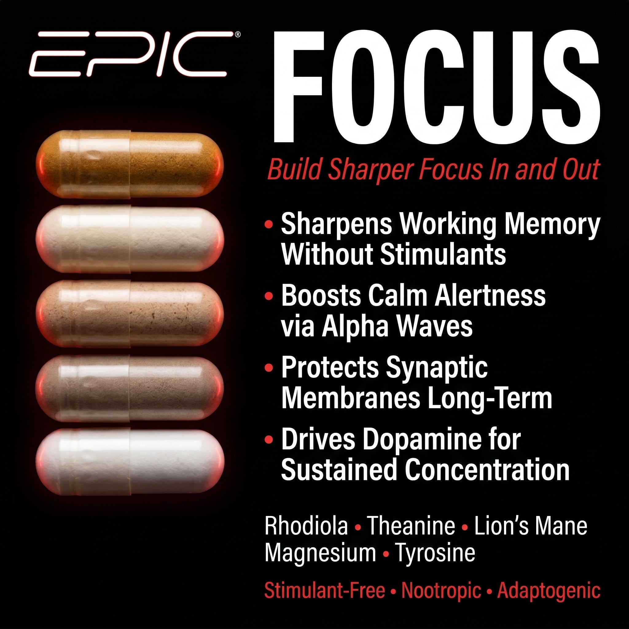 EPIC Focus Pack - 30 Packs
